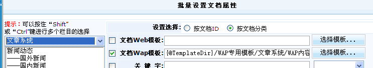 WAP插件安装及独立域名绑定说明 第 7 张