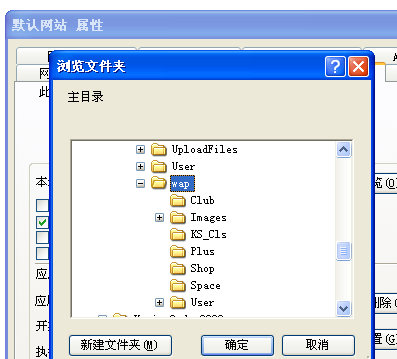 WAP插件安装及独立域名绑定说明 第 11 张