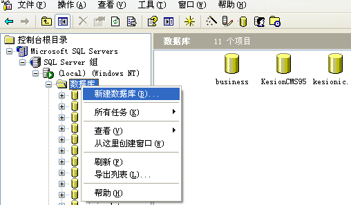 KesionCMS V9.5 系列产品商业SQL版本安装教程 第 4 张 KesionCMS V9.5 系列产品商业SQL版本安装教程 第 4 张