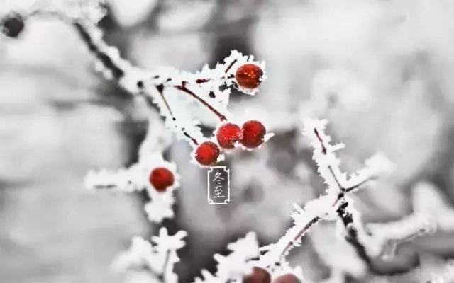 KESION祝大家冬至快乐 KESION祝大家冬至快乐