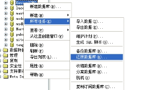 程序数据库安装说明—手工还原数据库图文说明（安装方法2） 第 5 张