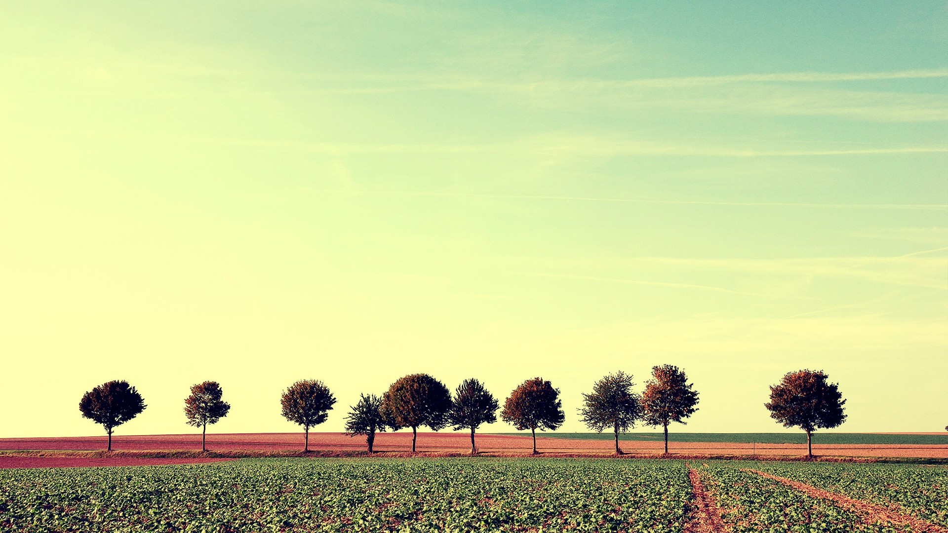 （网校修复）手机端微信绑定出错 第 3 张