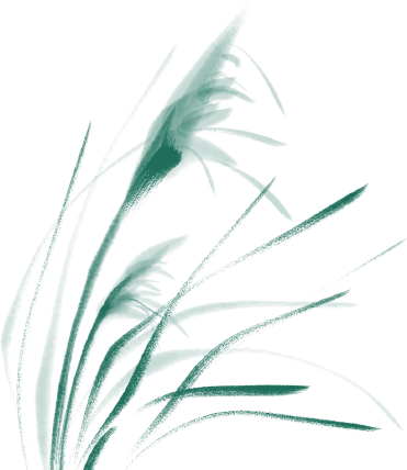 [公告]「端午安康」科汛软件端午节放假通知！ 第 5 张